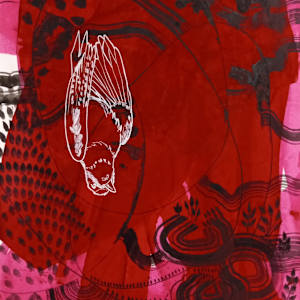 Skyfall by Carol Schottenfeld