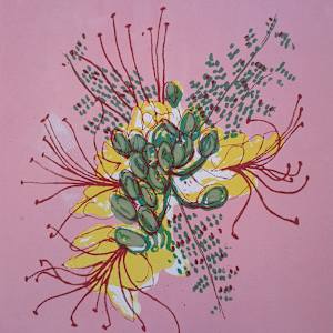 Mexican Desert Bird of Paradise 1/6 by Carol Schottenfeld