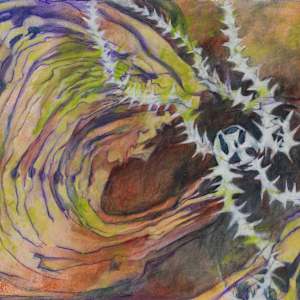 Intertidal Repose Interval 28 by Darwin Nordin