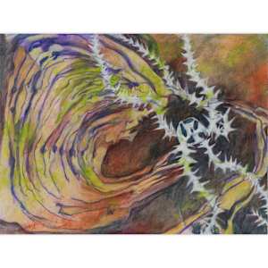 Intertidal Repose Interval 28 by Darwin Nordin  Image: 16" x 20" mat