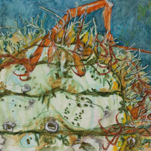 Intertidal Repose Interval 29 by Darwin Nordin