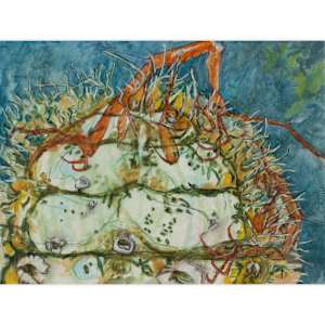 Intertidal Repose Interval 29 by Darwin Nordin  Image: 16" x 20" mat
