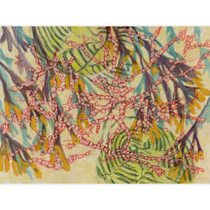 Intertidal Repose Interval 21 by Darwin Nordin, Image 2.