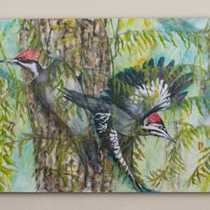 Loud Redhead by Darwin Nordin