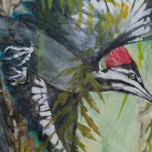 Loud Redhead by Darwin Nordin 