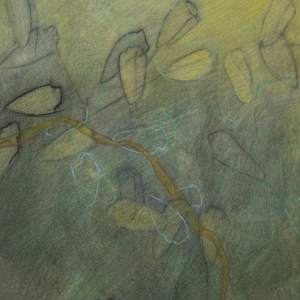 Trill by Darwin Nordin  Image: detail