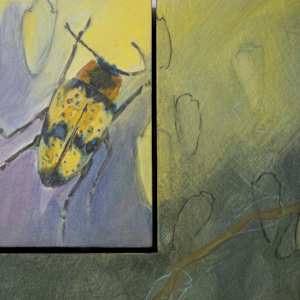 Trill by Darwin Nordin  Image: detail of attached panel