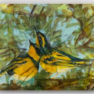 tiup by Darwin Nordin