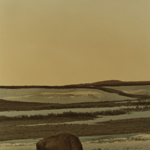 Yellowstone Dawning by T. Ray Jones
