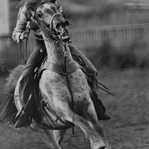 Horse and Rider Barrel Racing by Horst Schafer