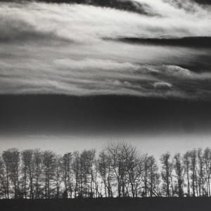 Trees and Clouds, N.Y by Stanley Kaufman
