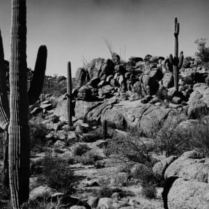 Arizona, U.S.A by Rush J. McCoy