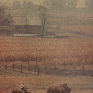 Amish Harvest by Rowan P. Smolcha