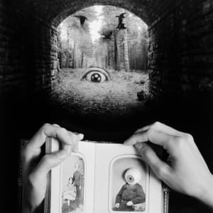 Memories of Max Ernst by Jerry N. Uelsmann
