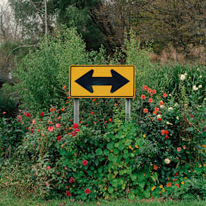 Either Way, Ithica, NY by Dana Stirling