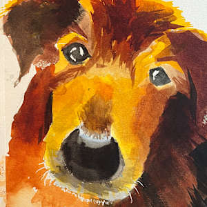 Ginger by Wendy Marshall