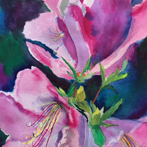 JoAnn's Azaleas by Wendy Marshall