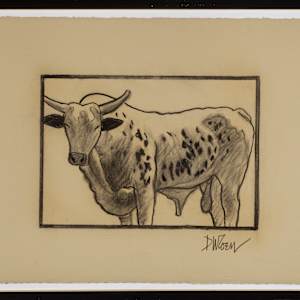 701	Cow 2	32"x25"	Charcoal by Don Coen, Image 1.