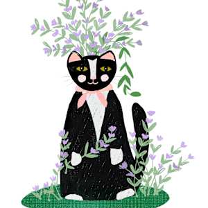 Catmint Kitty by Debbie Warnock