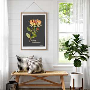 Honeysuckle on Black by Debbie Warnock  Image: "Honeysuckle on Black" looks at home with any style decor!