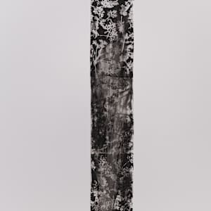 Scratch by Jamie Lee Ohland