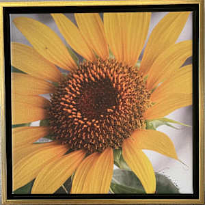 Have A Sunny Day! by Sandra G Cooper, Image 2.