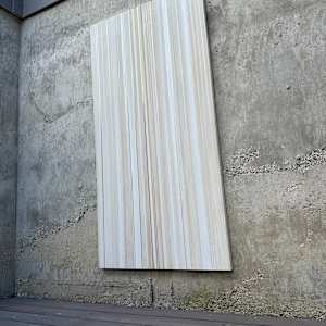 Echoes in Ivory and Gold by Aaron Mitchell Johnson 