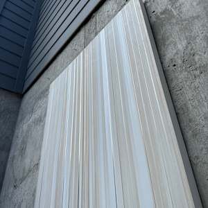 Echoes in Ivory and Gold by Aaron Mitchell Johnson 