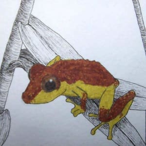 Light As A Feather by Amanda Makepeace