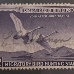 US RW17 Duck Hunting Stamp
