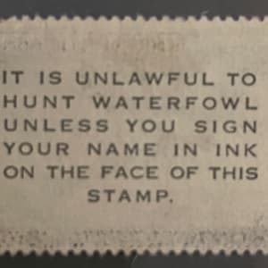 US RW17 Duck Hunting Stamp 