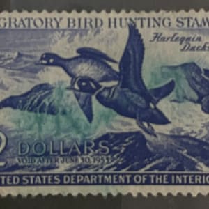 US RW19 Duck Hunting Stamp