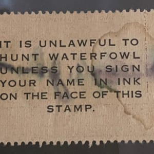 US RW13 Duck Hunting Stamp 