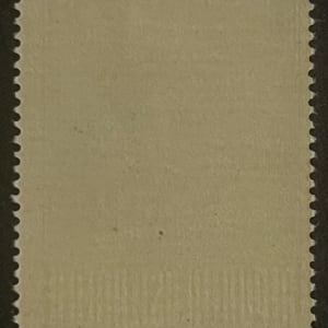 Austria B218 Prisoner of War Semi Postal Stamp 
