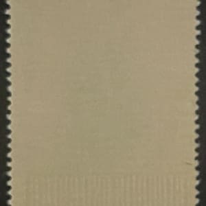 Austria B222 Prisoner of War Semi Postal Stamp 