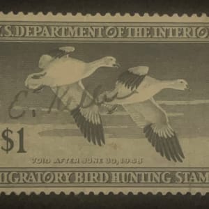 US RW14 Duck Hunting Stamp