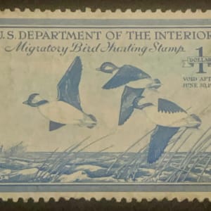 US RW15 Duck Hunting Stamp