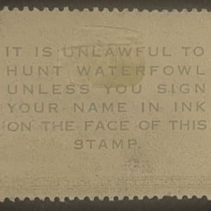 US RW24 Duck Hunting Stamp 