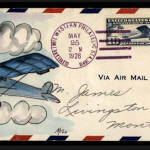 1928 Spirit of St Louis cover with an add-on M. Fox hand painted cachet by Melissa Fox