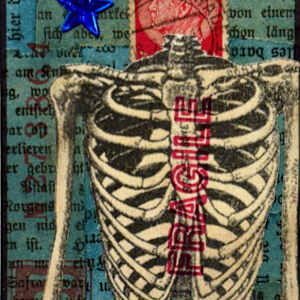 Fragile by Ruth Donikowski