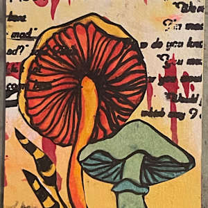 Meet Me in Wonderland by Dulce Monroy