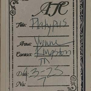 Platypus by Yvonne Boswell 