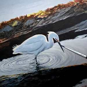 Mud-Walker (Egret) by Lorraine  Dey, Image 1.