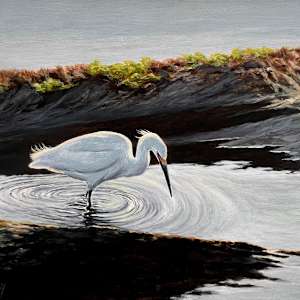 Mud-Walker (Egret) by Lorraine  Dey