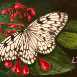 Paper Kite by Lorraine  Dey