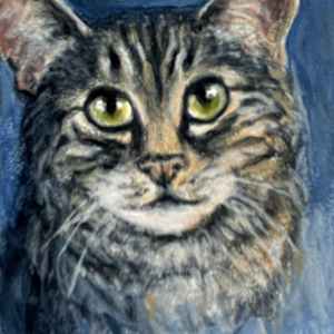 Timid Tiger by Lorraine  Dey