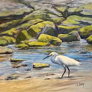 Fishing the Jetty by Lorraine  Dey