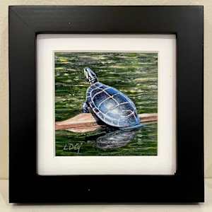 Turtle Log by Lorraine  Dey 