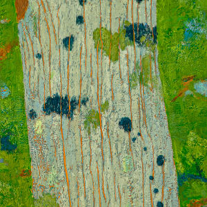 Blue Lichen, Eastern Hemlock by Katherine Steichen Rosing 