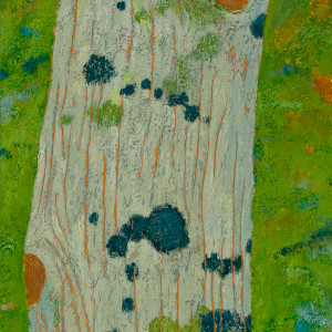 Blue Lichen, Eastern Hemlock by Katherine Steichen Rosing 